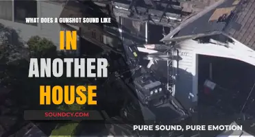 Echoes of Violence: The Haunting Sound of a Gunshot in the Neighbor's House