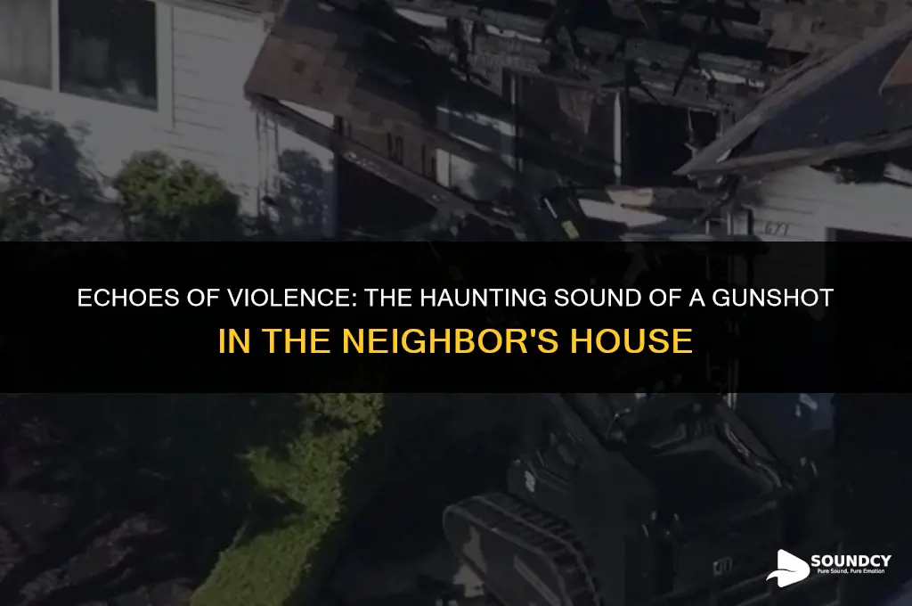 what does a gunshot sound like in another house
