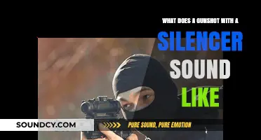 Silenced Shots: Unveiling the Hush of a Gunshot with a Silencer
