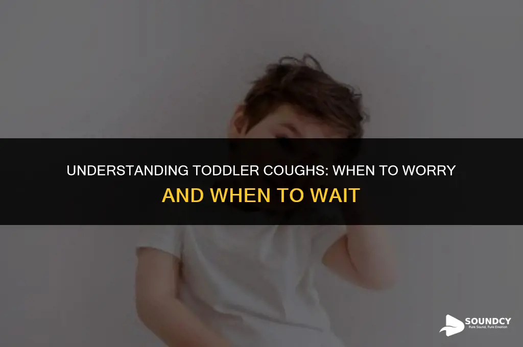 what does a habit cough sounds like in toddler