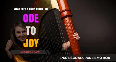 Harmony of Strings: An Ode to Joy's Melodic Embrace