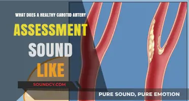Decoding Healthy Carotid Artery Sounds: A Comprehensive Guide