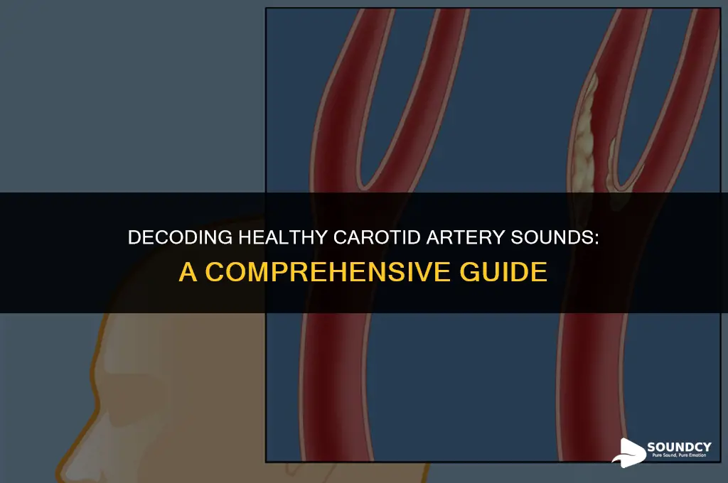 what does a healthy carotid artery assessment sound like