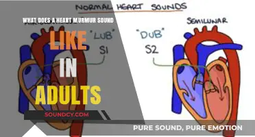 Understanding Heart Murmurs: What Adults Should Listen For