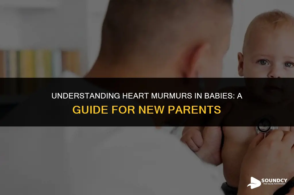 what does a heart murmur sound like in babies