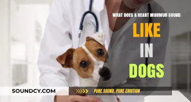 Understanding Canine Heart Murmurs: What Sounds to Listen For