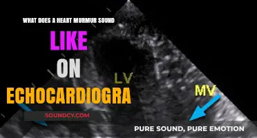 Echoes of the Heart: Understanding Murmurs on Echocardiograms