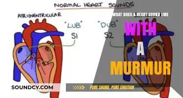 Echoes of the Heart: Understanding Murmurs and Their Sounds