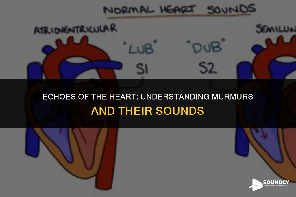 what does a heart sound like with a murmur