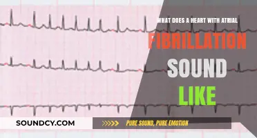 Listening to the Irregular Beat: Understanding Atrial Fibrillation Sounds