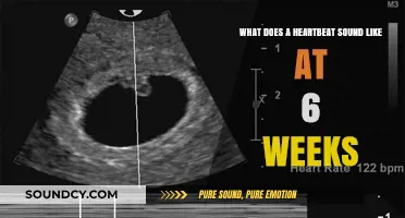 The Melody of Life: What Does a Heartbeat Sound Like at 6 Weeks?