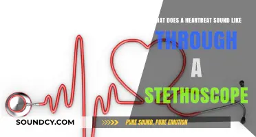 Exploring the Rhythmic Symphony: What a Heartbeat Sounds Like Through a Stethoscope