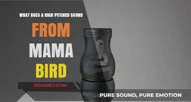 Mama Bird's High-Pitched Call: Nature's Melody or Warning?