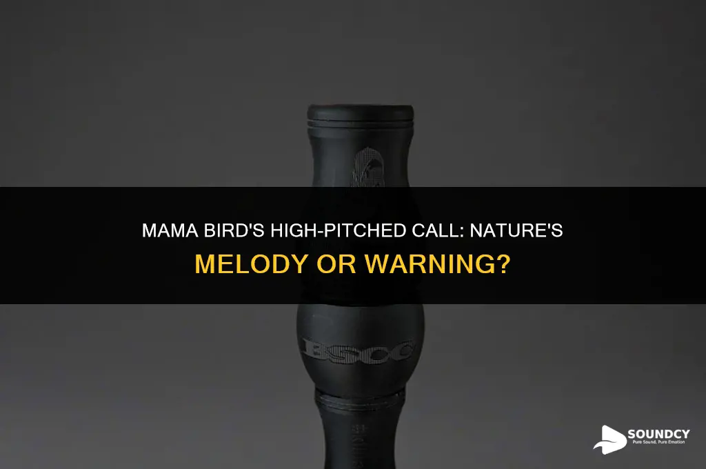 what does a high pitched sound from mama bird