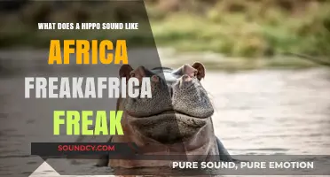 Echoes of the Savannah: Unveiling the Unique Sounds of Hippos in Africa