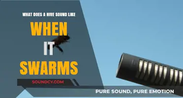 The Buzzing Symphony: What Does a Hive Sound Like When It Swarms?