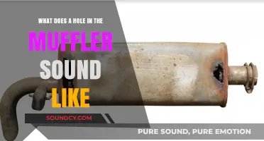 Decoding Muffler Noises: What Does a Hole Sound Like?