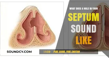 Echoes in Breathing: Understanding Septum Perforation Sounds