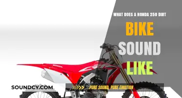 Revving Up Adventure: The Distinct Roar of a Honda 250 Dirt Bike