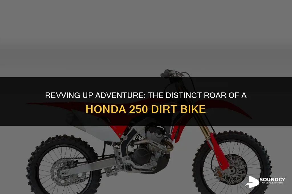 what does a honda 250 dirt bike sound like