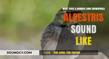 Echoes of the Horned Lark: Unveiling the Melodic Mysteries of Eremophila Alpestris