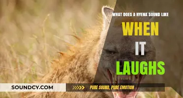 The Unique Laughter of Hyenas: An Insight into Their Vocalizations