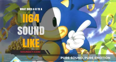 Exploring the Sonic Spectrum: From II to II64 and Beyond