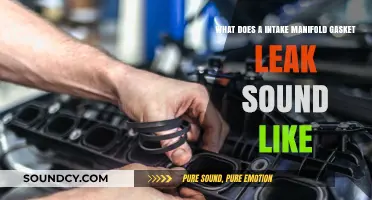 Decoding Engine Noises: Intake Manifold Gasket Leak Symptoms