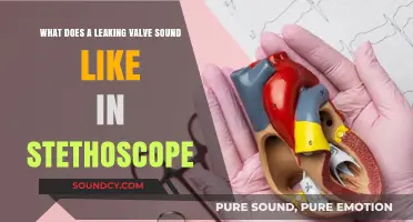 Listening to Leaks: What a Faulty Valve Sounds Like Through a Stethoscope