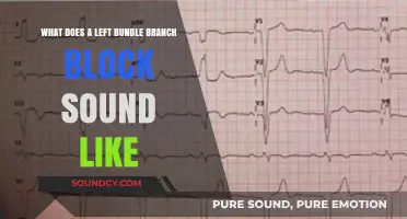 Exploring the Auditory Signs of Left Bundle Branch Block