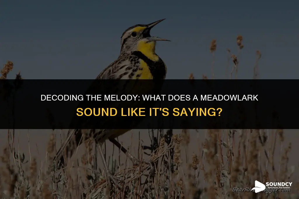 what does a meadowlark sound like it