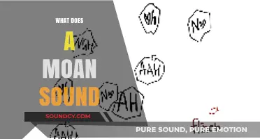 Understanding the Nuances: What Does a Moan Sound Like?