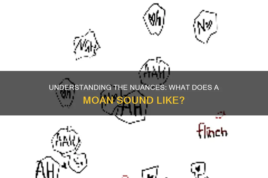 what does a moan sound