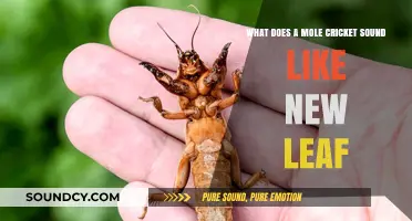 Exploring the Unique Sounds of Mole Crickets: A New Leaf