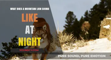 Nocturnal Echoes: Unveiling the Mysterious Calls of Mountain Lions