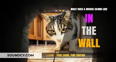 Unsettling Noises: Identifying Mouse Sounds in Your Walls
