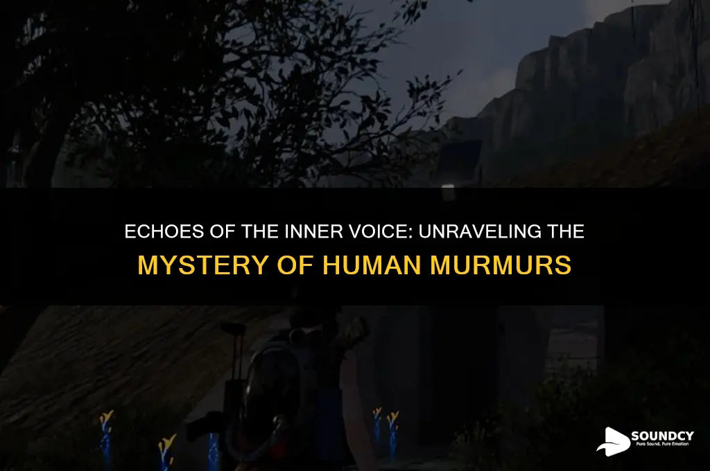 what does a murmur sound lie in the ihuman