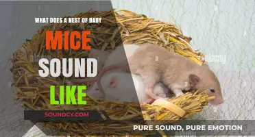 Exploring the Adorable Chatter: What Does a Nest of Baby Mice Sound Like?