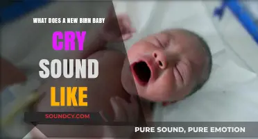 Decoding the First Tears: What Does a Newborn Baby's Cry Sound Like?