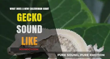 Exploring the Unique Vocalizations of New Caledonian Giant Geckos