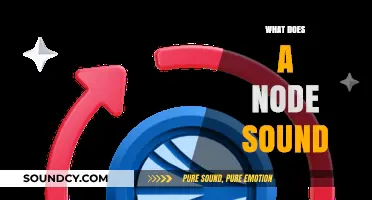Exploring the Sonic Identity: What Does a Node Sound Like?
