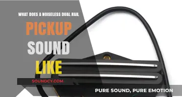 Exploring the Sonic Clarity of Noiseless Dual Rail Pickups
