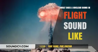 Echoes of Destruction: The Haunting Sound of a Nuclear Bomb in Flight