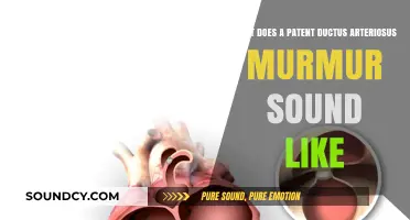 Understanding the Unique Sound of a Patent Ductus Arteriosus Murmur