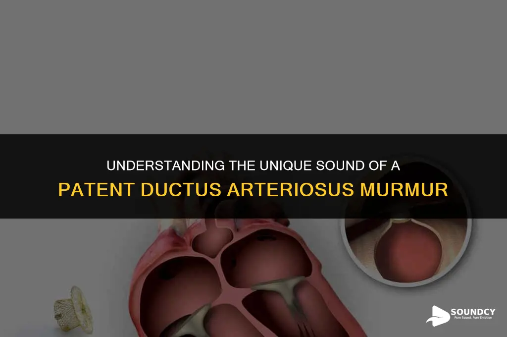 what does a patent ductus arteriosus murmur sound like