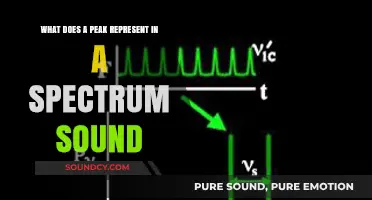Decoding the Sonic Spectrum: Understanding Peaks in Sound Waves