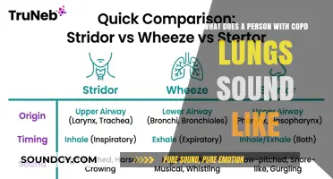 Understanding COPD: The Distinctive Sounds of Breathing