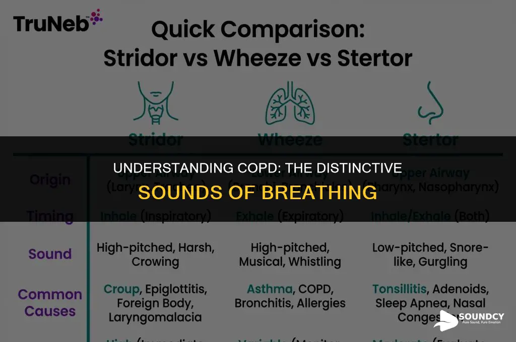 what does a person with copd lungs sound like