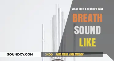 Echoes of the Final Sigh: What Does a Person's Last Breath Sound Like?