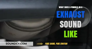 Exploring the Unique Sound of a Pinhole in an Exhaust